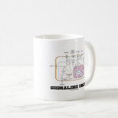 Signalisierung im Inneren (Signalweg) Kaffeetasse (VorderseiteRechts)
