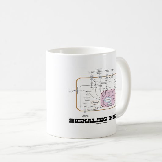 Signalisierung im Inneren (Signalweg) Kaffeetasse (VorderseiteRechts)
