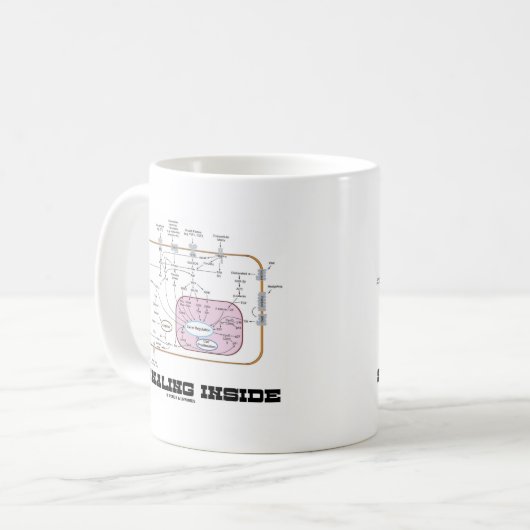 Signalisierung im Inneren (Signalweg) Kaffeetasse (Vorderseite Links)