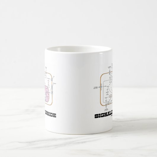Signalisierung im Inneren (Signalweg) Kaffeetasse (Mittel)