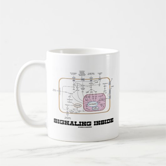 Signalisierung im Inneren (Signalweg) Kaffeetasse (Links)