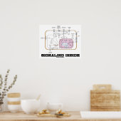 Signalisierung im Inneren (Signalweg) Poster (Küche)