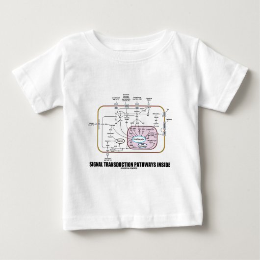 Signaltransductions-Bahn-Innere (Zellbiologie) Baby T-shirt (Vorderseite)