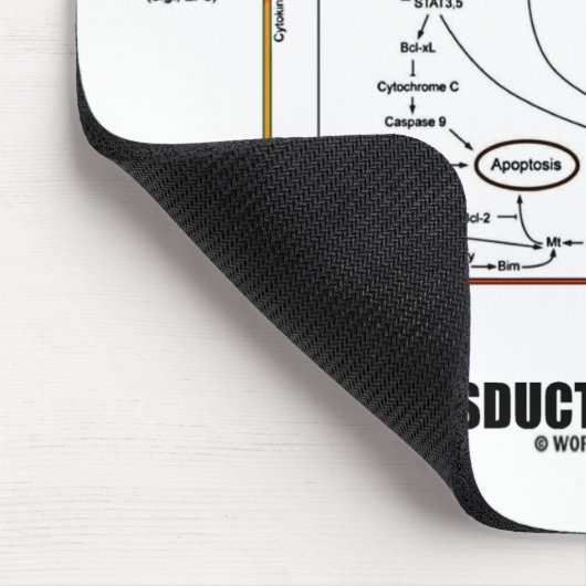 Signaltransductions-Bahn-Innere (Zellbiologie) Mousepad (Ecke)