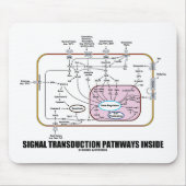 Signaltransductions-Bahn-Innere (Zellbiologie) Mousepad (Vorne)