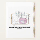 Signalwege innerhalb der Signalübertragung Planer (Rückseite)