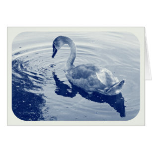 Signet Swan - Digital Cyanotype
