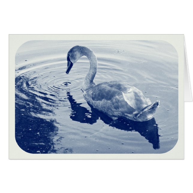 Signet Swan - Digital Cyanotype (Vorderseite (Horizontal))
