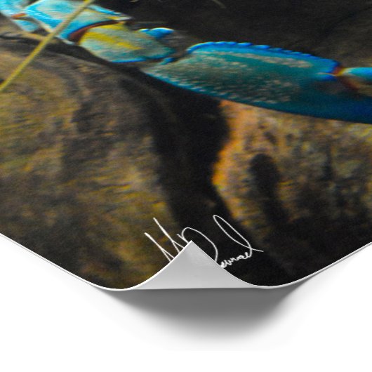 Signiert Smooth Yabby Poster (Ecke)