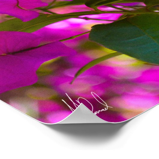 Signierte rosa Blume - #1 Poster (Ecke)