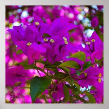 Signierte rosa Blume - #1