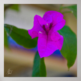 Signierte rosa Blume - #2 Poster