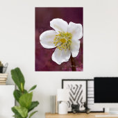 Signierter High-Poly-Winterrosen-Kunstdruck Poster (Heimbüro)