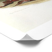 Sih-Chida and Mahchsi-Karehde, Mandan Indians, pla Poster (Ecke)