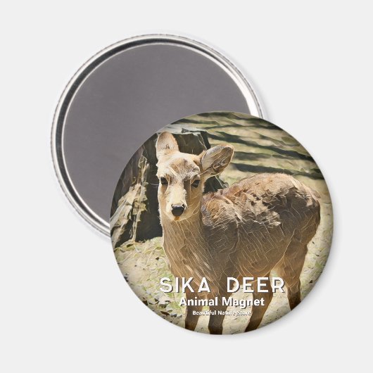 Sika Deer グ ネ Magnet (Vorderseite/Rückseite)