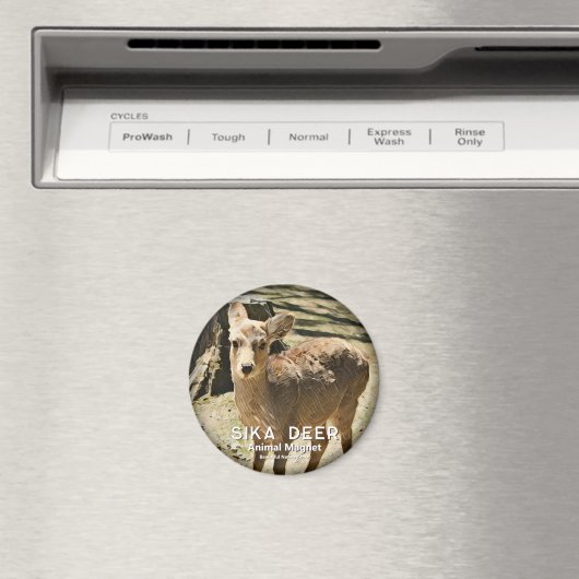 Sika Deer グ ネ Magnet (In Situ (Geschirrspüler))
