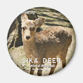 Sika Deer グ ネ Magnet (Vorne)