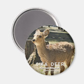 Sika Deer グ ネ Magnet (Vorderseite/Rückseite)