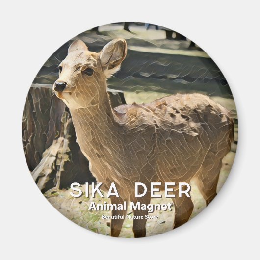 Sika Deer グ ネ Magnet (Vorne)
