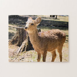 Sika Deer in Nara Park Puzzle