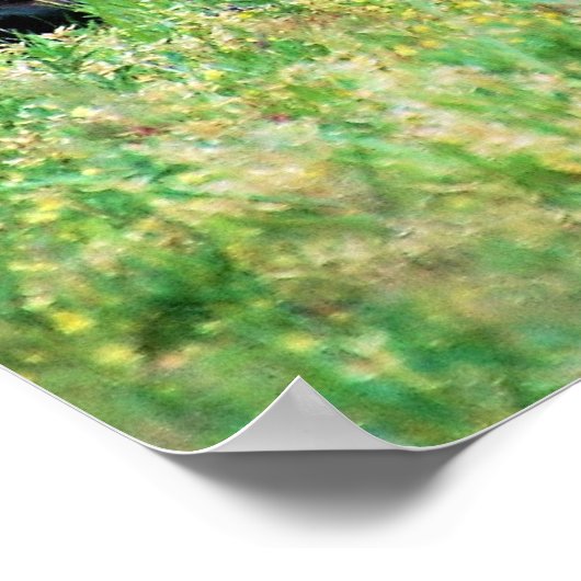 Sika Deer Poster (Ecke)