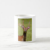 Sika-Hirsch Kaffeetasse (Mittel)