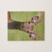 Sika-Hirsch Puzzle (Horizontal)