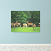 Sika Hirsche stehend in einem Clearing Leinwanddruck (Insitu (Holzboden))