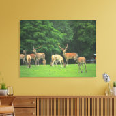Sika Hirsche stehend in einem Clearing Leinwanddruck (Insitu (Wohnzimmer))