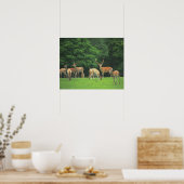 Sika Hirsche stehend in einem Clearing Poster (Küche)