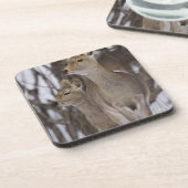 Sika Rotwild-Damhirschkuh und junges, Hokkaido, Getränkeuntersetzer (Linke Seite)