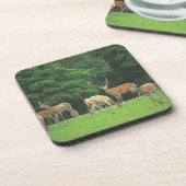 Sika Rotwild stehend in einer Reinigung Getränkeuntersetzer (Linke Seite)