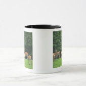 Sika Rotwild stehend in einer Reinigung Tasse (Zentrum)