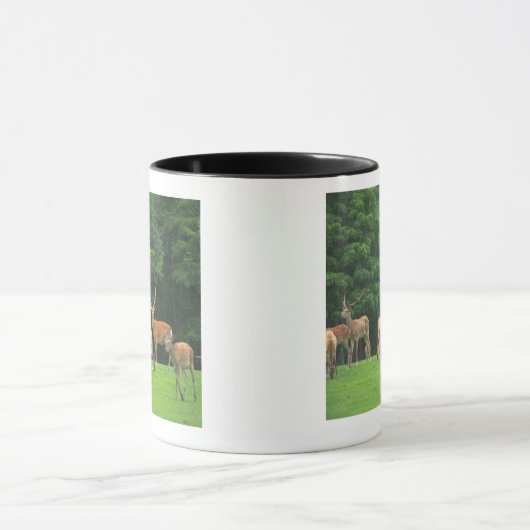 Sika Rotwild stehend in einer Reinigung Tasse (Zentrum)