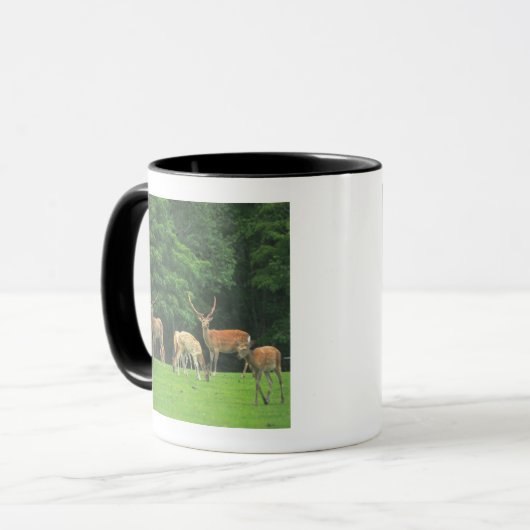 Sika Rotwild stehend in einer Reinigung Tasse (Vorderseite Links)