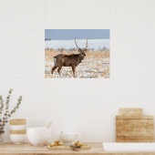 Sika Stag auf einem schneebedeckten Feld | Japan Poster (Küche)