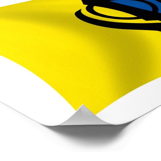 Sikhism Flag Poster Print (Ecke)