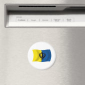 Sikhismus-Flaggenmagnet Magnet (In Situ (Geschirrspüler))