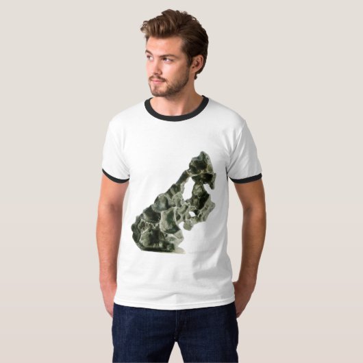 Sikhote-Alin Meteorit T-Shirt (Vorne ganz)