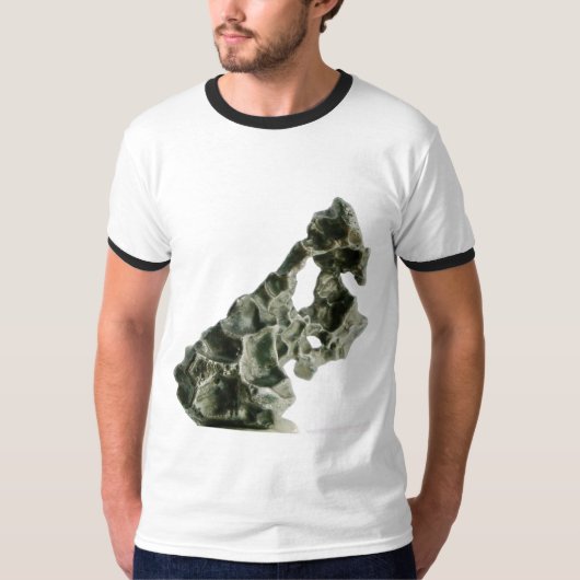 Sikhote-Alin Meteorit T-Shirt (Vorderseite)