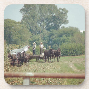 Silage #amishcountry #farmlife #amish untersetzer