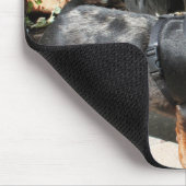 Silber Dapple Dackel-Freund 2 Mousepad (Ecke)