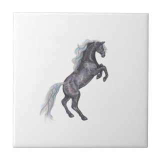 Silber Dapple Pferdeaufrichtendes schwarzes Fliese