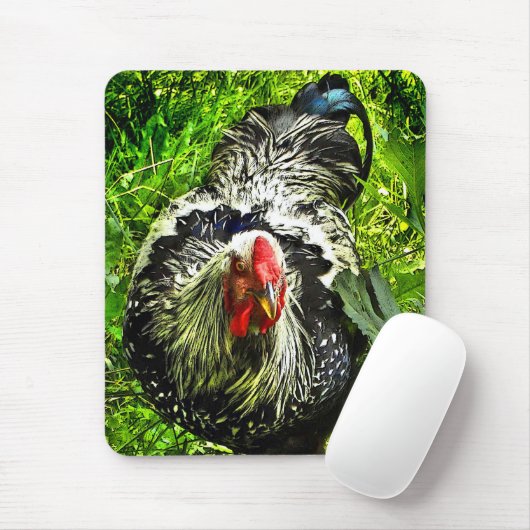 Silber geschnürter Wyandotte Hahn in grünem Mousepad (Mit Mouse)