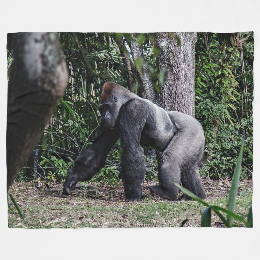 SILBER-HINTERER GORILLA FLEECEDECKE (Vorderseite (Horizontal))