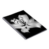Silber Lily: einfarbige Blumen-Eleganz. Notizblock (Rechte Seite)