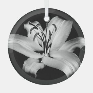 Silber Lily: einfarbige Blumen-Eleganz. Ornament Aus Glas
