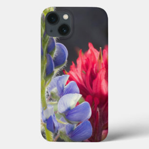 Silber-Lupine, Lavendel-Pinsel iPhone 13 Hülle