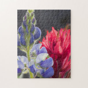 Silber-Lupine, Lavendel-Pinsel Puzzle