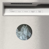 Silber Magnet (In Situ (Geschirrspüler))